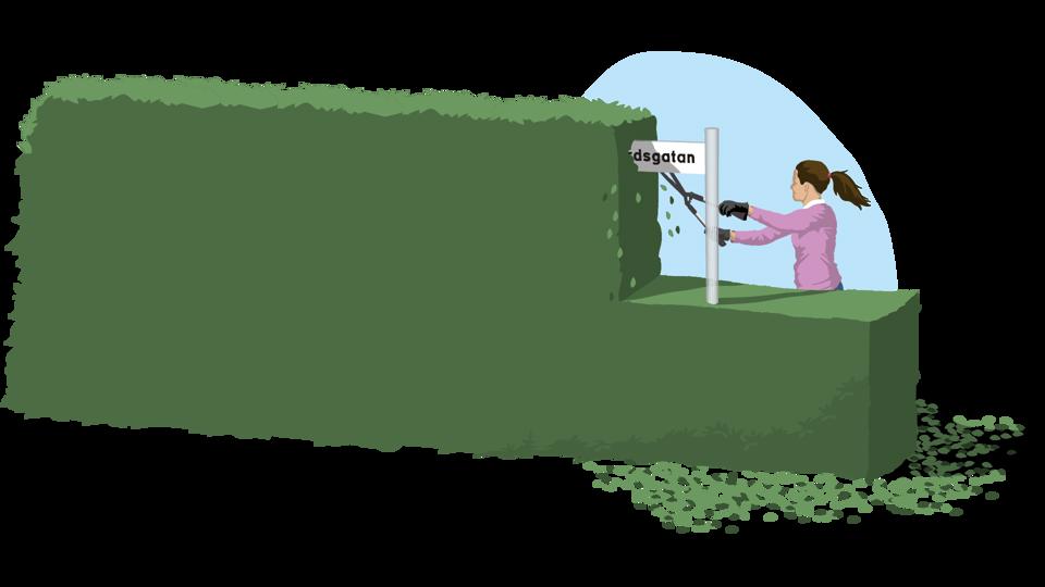 Illustration på en kvinna som klipper rent en häck som vuxit upp runt en gatunamnsskylt. 